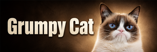 Grumpy Cat Banner